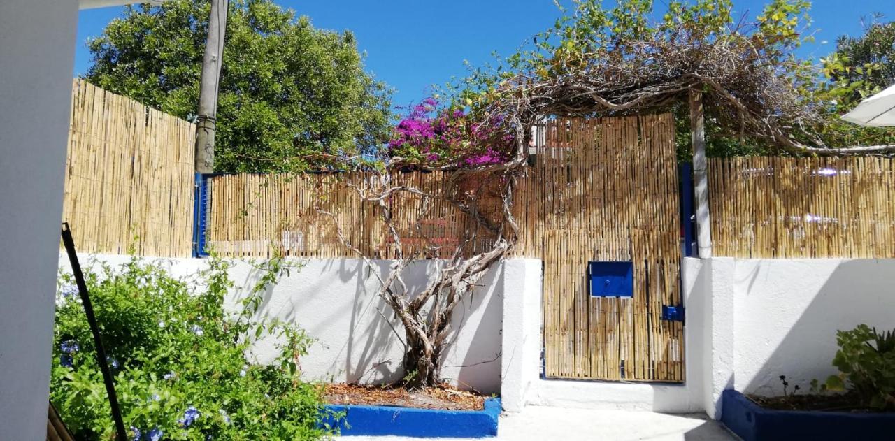 16 Casa Azul *